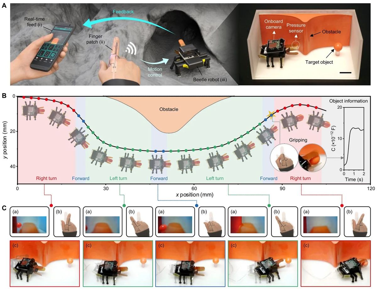 Mehrteilige Abbildung aus der Studie: oben links eine Illustration mit Smartphone, Fingerpflaster und Roboterkäfer vor einer Felshöhle, oben rechts ein Foto des Roboters in einer Versuchsbox mit orangefarbenem Hindernis und einer orangen Kugel, in der Mitte die eingezeichnete Laufbahn des Roboters mit Abschnitten für Rechtskurve, vorwärts und Linkskurve sowie ein Diagramm des Drucksensorsignals beim Greifen, unten Kamerabilder, Fingergesten und Fotos des Roboters zu jedem Abschnitt