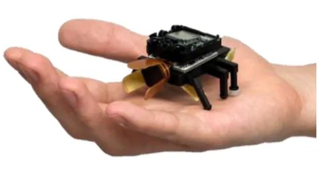Eine geöffnete Hand vor weißem Hintergrund, auf der Handfläche ein kleiner schwarzer Roboter auf sechs dünnen Beinen, oben eine Platine mit Kamera, an den Seiten goldfarbene und orange Folienstreifen