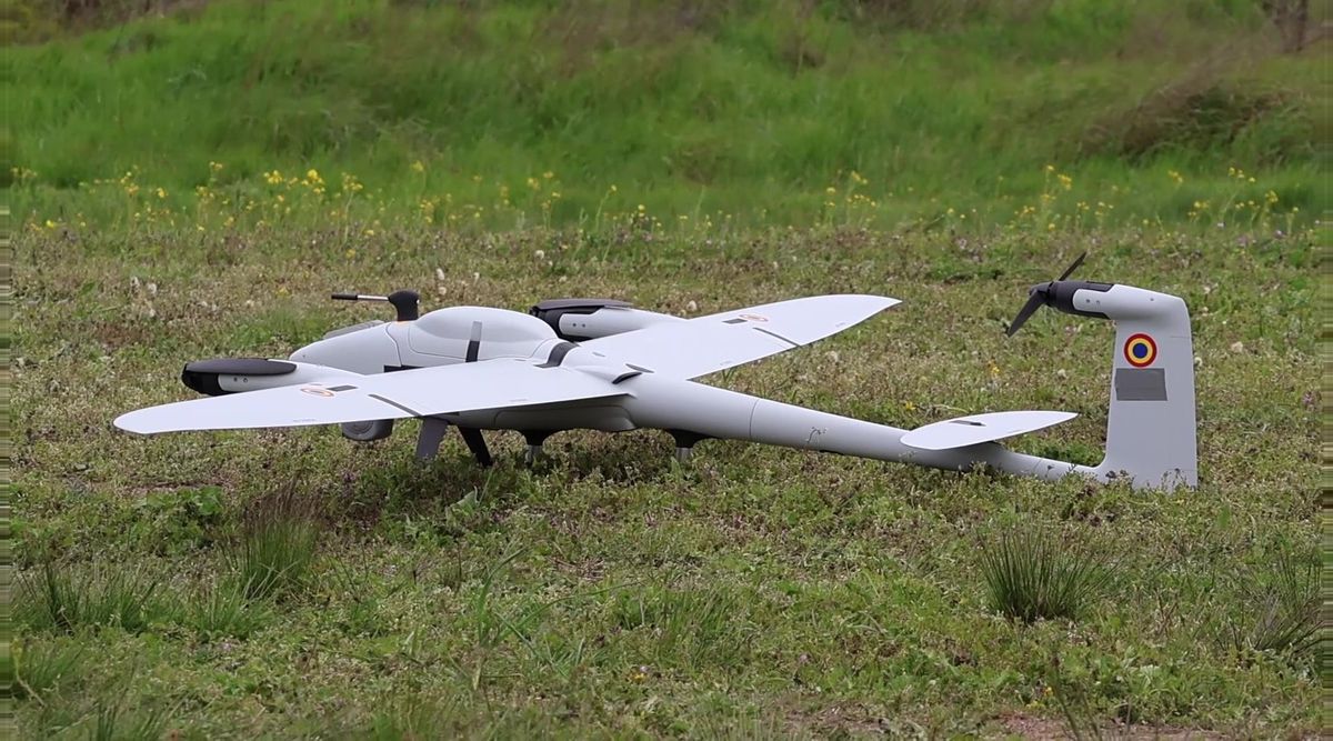 Hellgraue Flächendrohne Vector von Quantum Systems mit vier Rotorgondeln und rumänischer Kokarde am Heckleitwerk steht seitlich auf einer Wiese mit gelben Blüten, dahinter hohes Gras