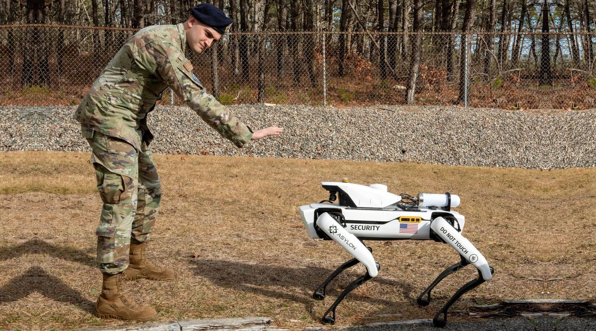 Ein Soldat in Tarnuniform mit dunkelblauem Barett beugt sich vor und hält die Hand flach über den Boden, vor ihm steht auf einer Wiese ein weißer vierbeiniger Roboter mit den Aufschriften Security, Asylon und Do not touch, dahinter Kiesböschung, Zaun und Kiefern