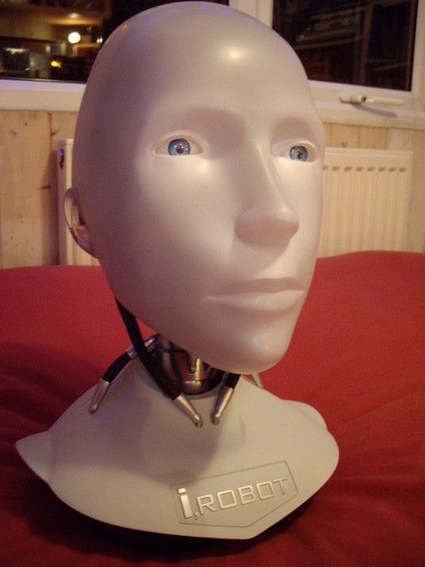 IRobot Kopf, 2004
