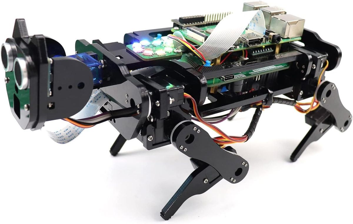 Schwarzer Roboterhund aus Acryl mit Ultraschallsensor am Kopf, aufgestecktem Raspberry Pi und leuchtendem LED-Modul auf dem Rücken.