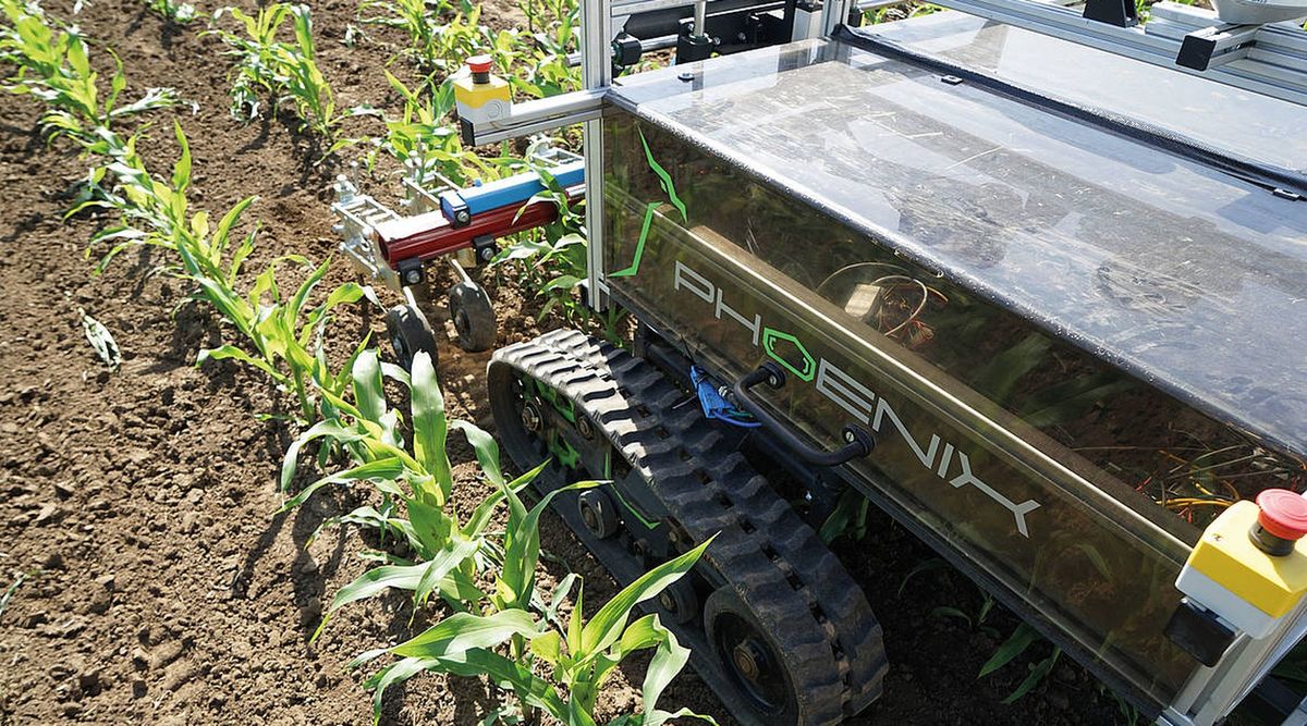 Projekt AMUN: Ein Parallelroboter jätet Unkraut im Bio-Zwiebelfeld