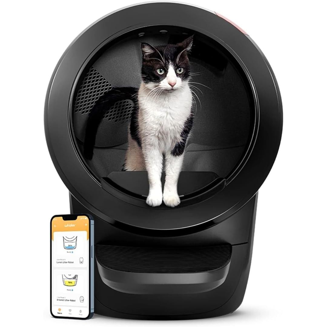 Schwarzer Litter-Robot 4 mit schwarz-weißer Katze im runden Einstieg, daneben Smartphone mit Whisker-App.