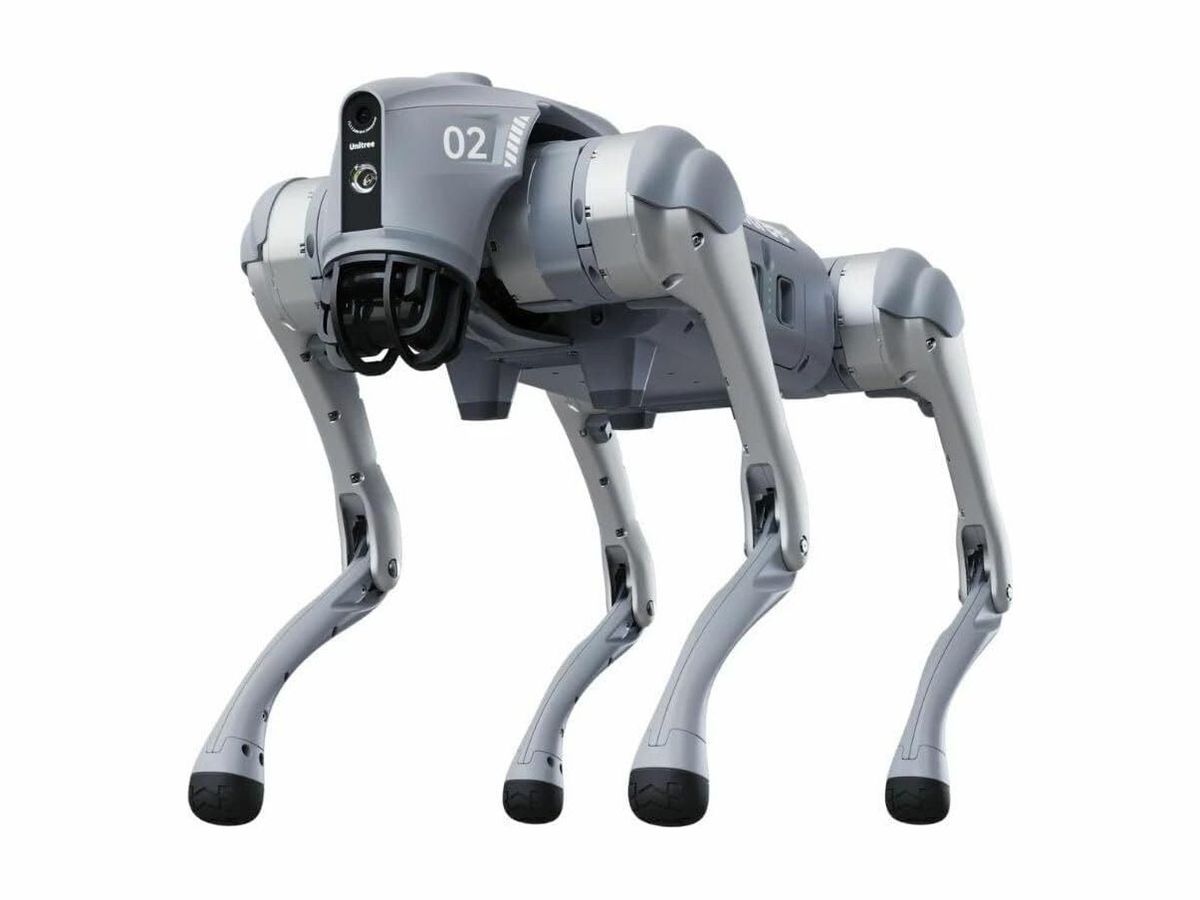 Grauer Roboterhund Unitree Go2 steht auf vier Beinen, am Kopf Kamera und schwarzer LiDAR-Käfig, an der Seite die Aufschrift 02.