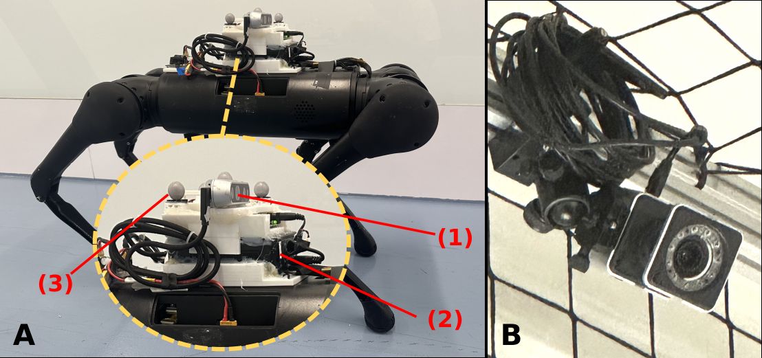 Der Unitree Aliengo mit Tiefenkamera, Bordrechner und Motion-Capture-Markern auf dem Rücken