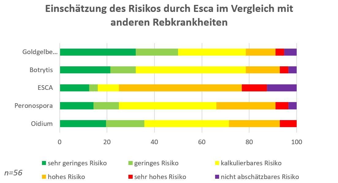 Balkendiagramm mit fünf waagerechten Balken für Goldgelbe Vergilbung, Botrytis, ESCA, Peronospora und Oidium, jeweils in Farbabschnitte von sehr geringem bis nicht abschätzbarem Risiko geteilt; beim Balken ESCA nehmen hohes, sehr hohes und nicht abschätzbares Risiko den größten Teil ein, Stichprobe n=56