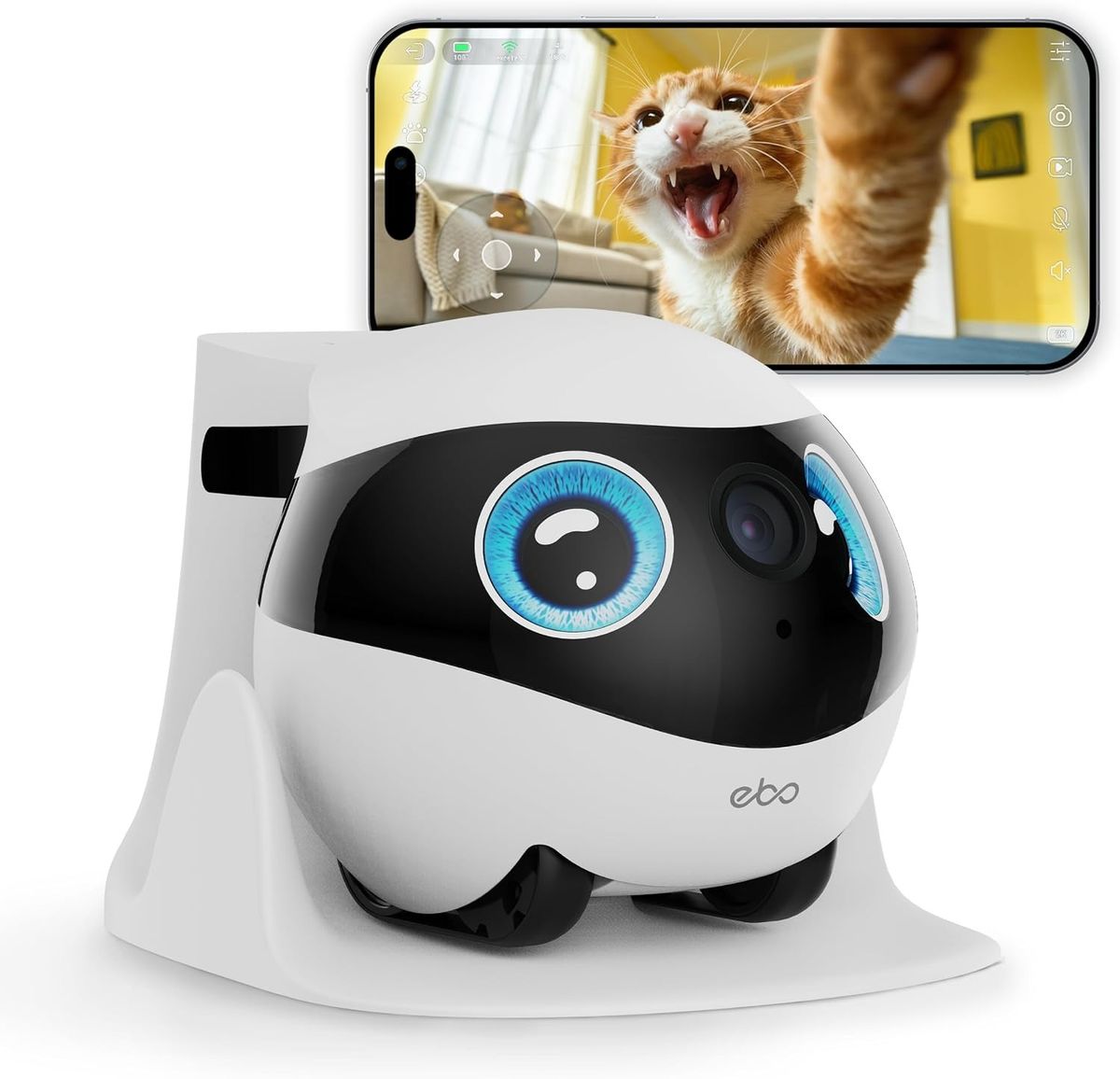 Enabot EBO SE 2 mit blauen Display-Augen in der weißen Ladestation, dahinter ein Smartphone mit Live-Bild einer Katze.