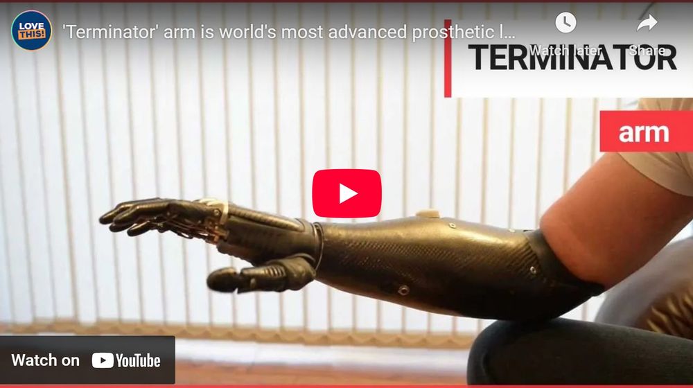 Terminator-Hand