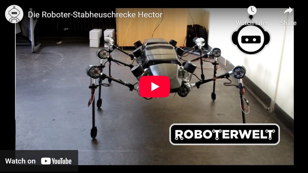 Eine Roboter-Stabheuschrecke entsteht