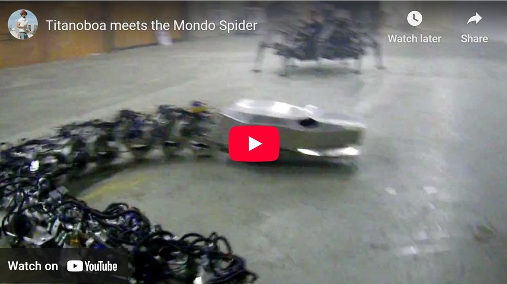 Die Titanoboa trifft auf die Roboter-Spinne