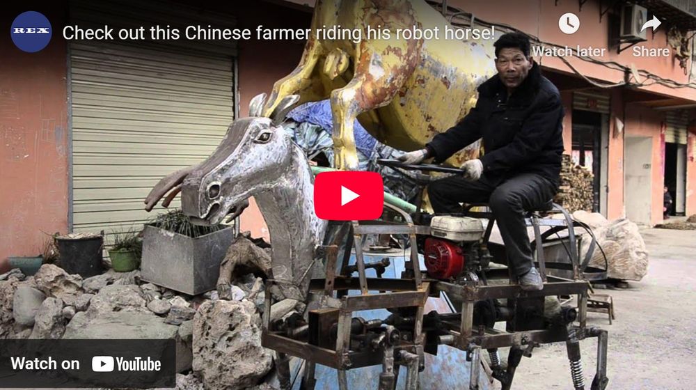 Chinese baut Roboterpferd