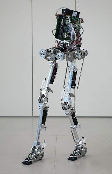 BioBiped