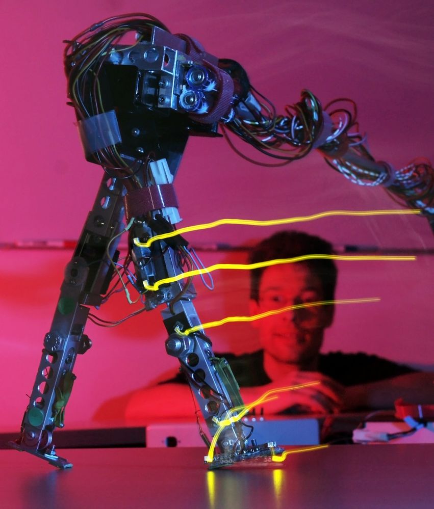 Einen „Trainingsmarsch“ der Roboter „Fox“ im Lauflabor der Friedrich-Schiller-Universität Jena